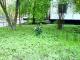 20100512151514.JPG (220.22 kb; 109 hits) 20100512151514.JPG