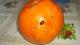 20121202131153.JPG (83.77 kb; 328 hits) 20121202131153.JPG
