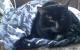 23092010022.jpg (141.92 kb; 217 hits) 23092010022.jpg