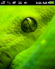 scr08-55-34.png (30.03 kb; 306 hits) scr08-55-34.png