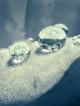 raindrops_rainbow_set1-76.jpg (79.71 kb; 89 hits) raindrops_rainbow_set1-76.jpg