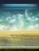BACKACA-2.png (118.67 kb; 465 hits) BACKACA-2.png