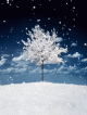 Snowing.gif (278.51 kb; 133 hits) Snowing.gif