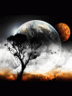 Desktop4.gif (33.79 kb; 94 hits) Desktop4.gif