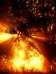 Red_Sun.jpg (20.25 kb; 32 hits) Red_Sun.jpg