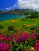 Kauai_Golf__Hawaii.jpg