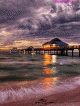 pier.gif (387.5 kb; 52 hits) pier.gif