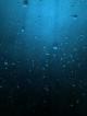 blue_glass.jpg (8.81 kb; 47 hits) blue_glass.jpg