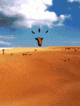 STARTUP_IMAGE_SEMC.gif (567.57 kb; 28 hits) STARTUP_IMAGE_SEMC.gif