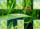 00122-green_2013.jpg (1048.99 kb; 53 hits) 00122-green_2013.jpg