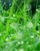 lytchee-iz-seti-1149099931-i-9595-full-hf.jpg (26 kb; 25 hits) lytchee-iz-seti-1149099931-i-9595-full-hf.jpg
