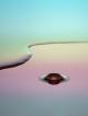 Abstract.jpg (10.93 kb; 19 hits) Abstract.jpg